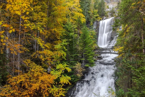 Forêt de Corsuet à Aix les Bains